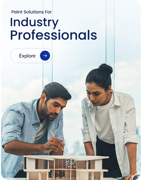 For Professionals